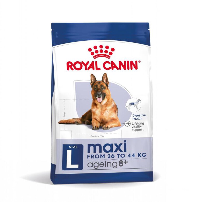 Royal Canin Maxi Ageing 8+ pienso para perros, , large image number null